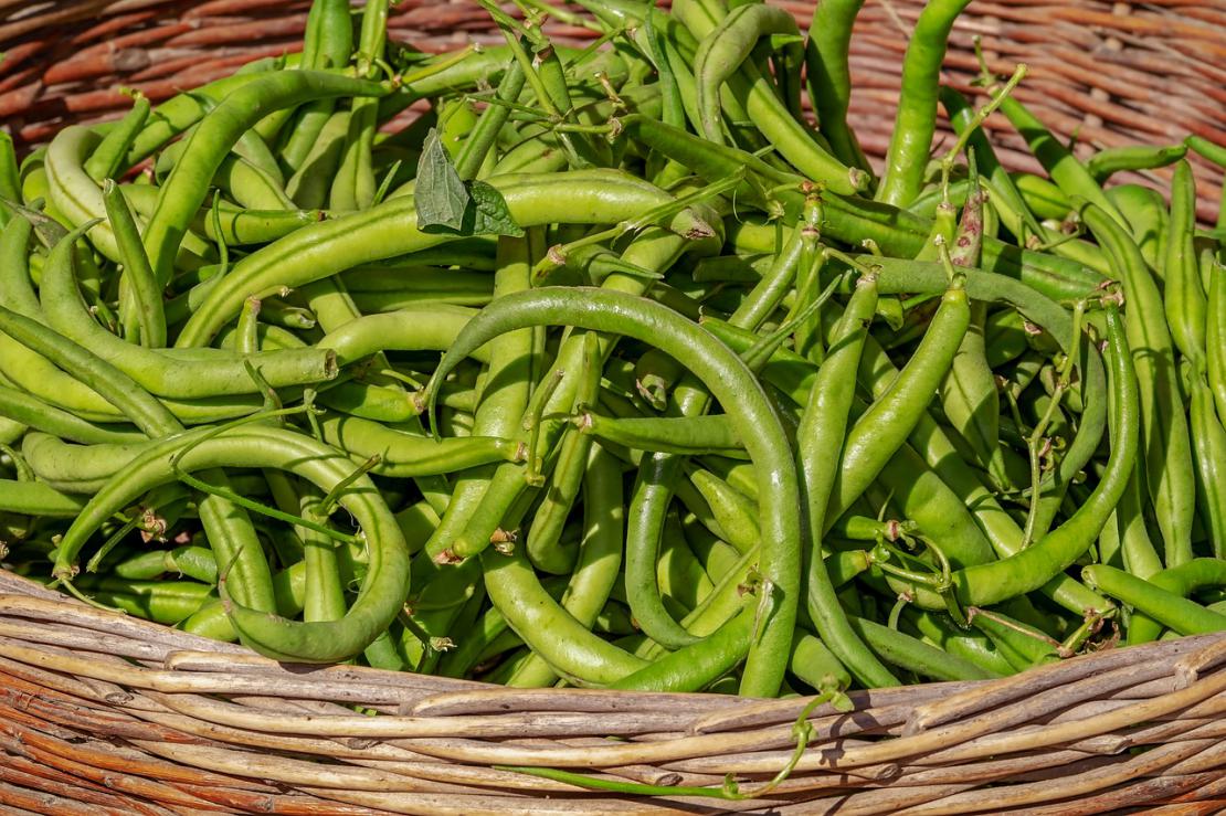 Haricot vert vapeur