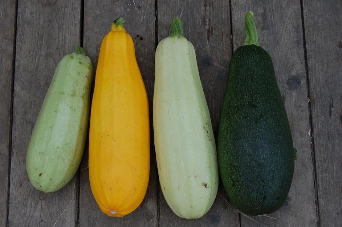 Purée de courgettes aux fines herbes