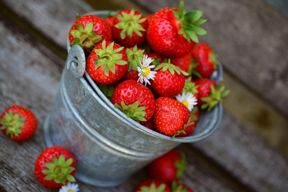 Soupe fraîche de fraises mûres